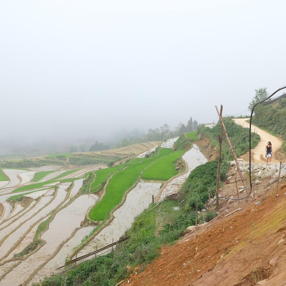 Meet your Posher, Lavande